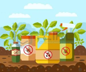 سموم شیمیایی شرکت خدمات حمایتی کشاورزی با کیفیت بالا و قیمت مناسب توزیع می شود