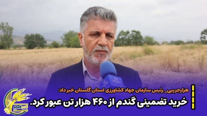 خرید تضمینی گندم در گلستان از ۴۶۰ هزار تن عبور کرد