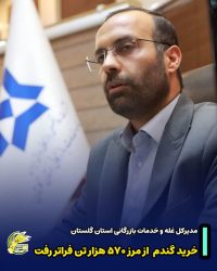 خرید تضمینی گندم از ۵۷۰ هزار تُن فراتر رفت