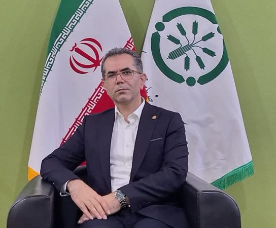 ۲۹ هزار  هکتار از مزارع استان گلستان در سال زراعی جاری تحت کشت محصول پنبه  قرار  می گیرد