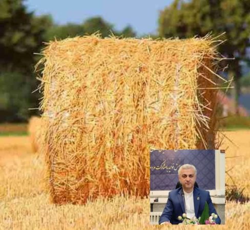 کاه و یونجه رکورددار فرار مالیاتی در گلستان