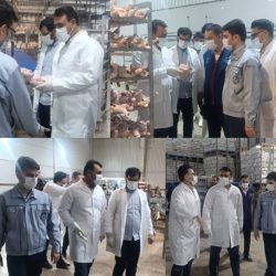 بازدید میدانی مدیر کل دامپزشکی استان گلستان از کشتارگاه صنعتی طیور شهید فخری زاده متعلق به مجموعه مزرعه نمونه