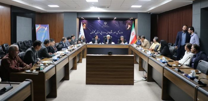 بررسی طرح‌ های سرمایه‌گذاری بزرگ با تاکید بر اهلیت‌ سنجی دقیق