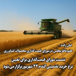 نشست شورای قیمت‌گذاری برای تعیین نرخ خرید تضمینی گندم ۲۲ شهریور برگزار می‌شود