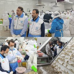 بازدید میدانی مدیر کل دفتر نظارت بر بهداشت عمومی و مواد غذایی سازمان دامپزشکی کشور  از دو مرکز فرآوری میگو در استان گلستان
