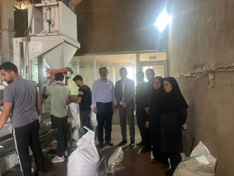 بازدید از فرآیند بوجاری و فرآوری بذر گندم با حضور تعدادی از اعضای کمیته فنی بذر استان