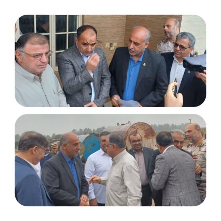 توسعه باغات زیتون و اشتغال پایدار در مناطق مرزی گلستان ادامه دارد