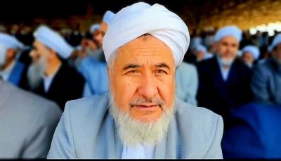 مقاومت مردم غزه معجزه‌ای تاریخی است