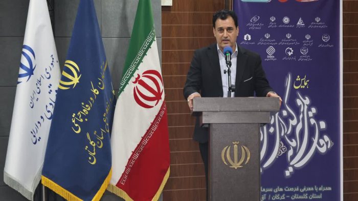 تأکید مدیرکل تعاون گلستان بر رفع موانع سرمایه‌گذاری برای شکوفایی اقتصادی استان