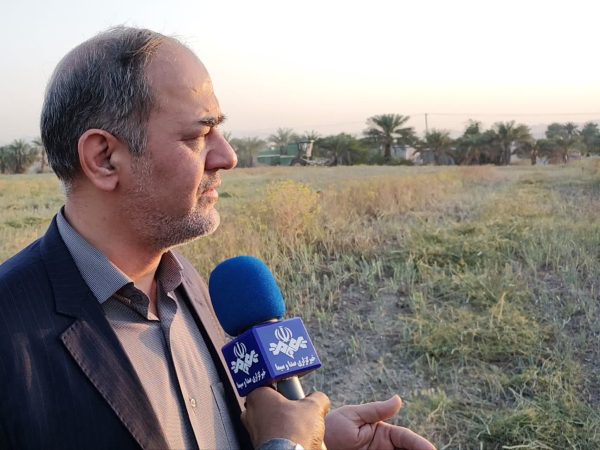 خرید حمایتی پیاز با ۷ مرکز فعال و پرداخت ۷۳ درصد مطالبات کشاورزان