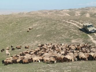 توقیف و مهار ۱۱۳۰ راس احشام توسط مرزبانان هنگ مرزی اترک