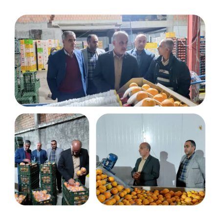 بازدید از روند خرید و ذخیره سازی میوه پرتقال طرح تنظیم بازار ایام پایانی سال ۱۴۰۴ و نوروز ۱۴۰۵