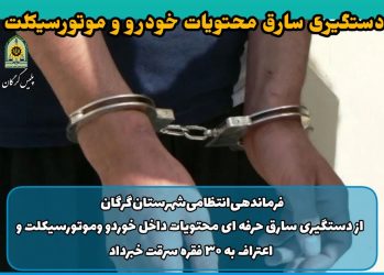 کشف ۳۰ فقره سرقت محتویات داخل خودرو و موتورسیکلت