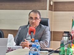 کشت ۷۰ هزار هکتار شالی در سایه ۱۵ هزار نسق!/ خطر جدی آینده آبی استان