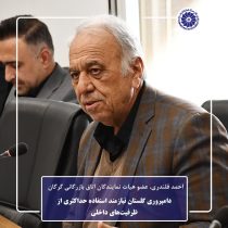 دامپروری گلستان نیازمند استفاده حداکثری از ظرفیت‌های داخلی