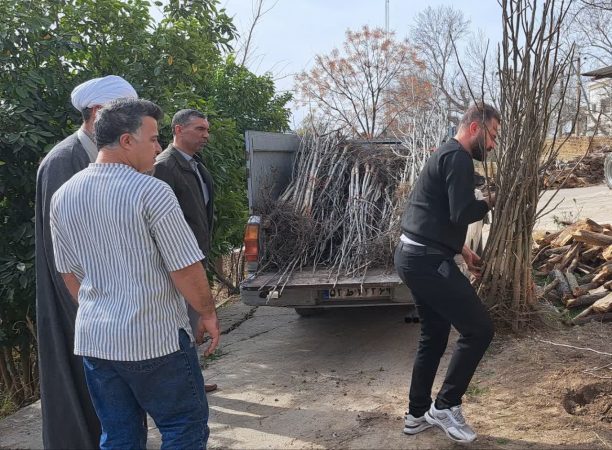 اهدا ۲ هزار اصله نهال گردو توسط خانواده خیر نیک‌اندیش مینودشت به منابع طبیعی خانواده خیر نیک‌اندیش مینودشتی