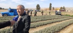 تعداد ۱۱۰ هزار اصله نهال مرتعی در نهالستان امام علی (ع)