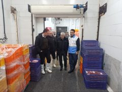بازدید شبانه معاون استاندار از دو کشتارگاه در سطح استان