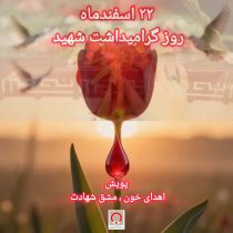اهدای خون ، مشق شهادت در رگ‌های استان گلستان ؛ اهداکنندگان خون قهرمان و راه شهدا را ادامه می‌دهند