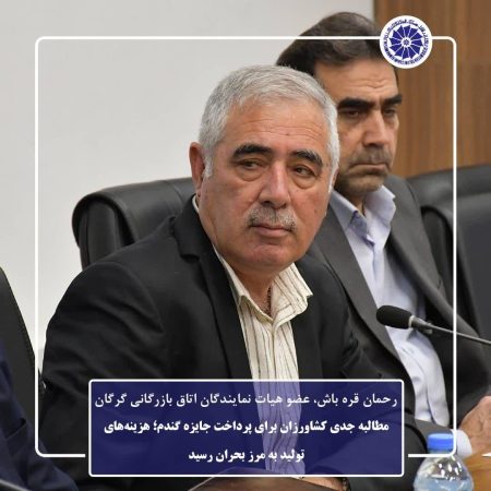 طالبه جدی کشاورزان برای پرداخت جایزه گندم؛ هزینه‌های تولید به مرز بحران رسید