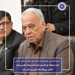 کشت تریتیکال خوراک مورد نیاز دامداری‌ها را تأمین می‌کند/گلستان می‌تواند هاب دامپروری کشور شود ‌
