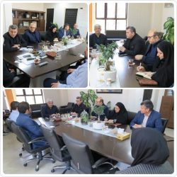 با همکاری مدیران و مسئولان استان گلستان روند صدور مجوزها در حمایت از تولید تسهیل شده است