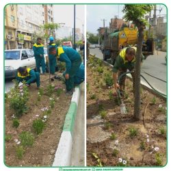 آراستگی بلوار طبیعت گرگان با کاشت گل‌های فصلی