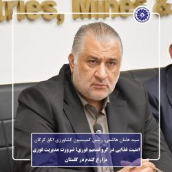 امنیت غذایی در گرو تصمیم فوری؛ ضرورت مدیریت فوری مزارع گندم در گلستان