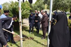 کاشت نهال به یاد ۱۶۸ شهید دانش‌آموز مدرسه میناب در شرکت گاز استان گلستان