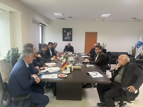 بازدیدهای هدفمند با حضور مسئولان دولتی و مجلس و ادامه پیگیری ها در تهران