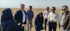تداوم عملیات مبارزه با آفت ملخ در گنبدکاووس با تأکید بر استفاده از سموم تخصصی و پایش مستمر