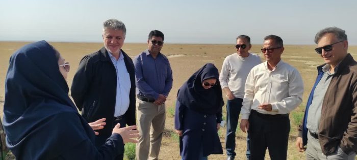 تداوم عملیات مبارزه با آفت ملخ در گنبدکاووس با تأکید بر استفاده از سموم تخصصی و پایش مستمر