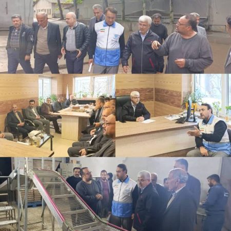 ارزیابی میدانی روند تولید خوراک دام و بسته‌بندی تخم‌مرغ در واحد صنعتی توکل علی‌آباد کتول