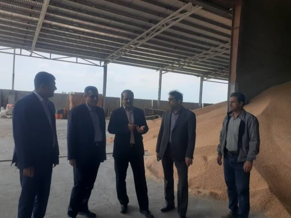 تداوم تولید در استان علیرغم شرایط جنگی با رصد روزانه واحدهای صنعتی