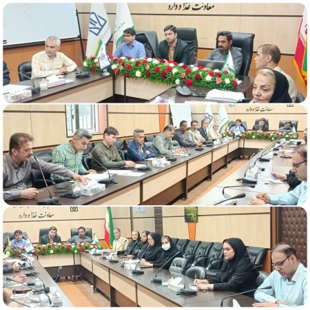 برگزاری اولین جلسه کمیته فنی و قانونی دانشگاه در سال جاری  برگزار شد