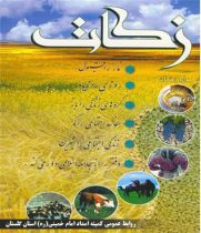 جمع آوری ۲۱۷ میلیارد تومان زکات توسط شوراهای زکات استان گلستان وتوزیع بین نیازمندان