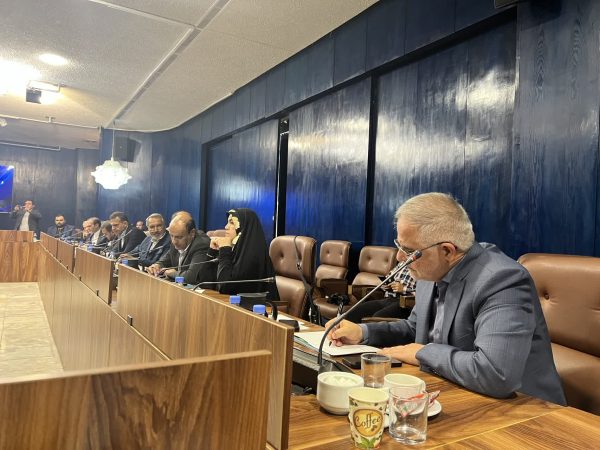 ایری: طرح ساماندهی کارکنان دولت ثمره سال‌ها پیگیری و نماد عدالت شغلی است