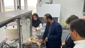 تأکید مدیرکل غله گلستان بر خدمت‌رسانی مطلوب به کشاورزان و کارخانه‌های آرد