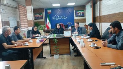 نشست برنامه ریزی مشاغل خرد خانگی روستایی جهت دریافت تسهیلات از بنیاد علوی برگزار شد