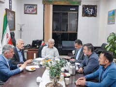 کیان‌مهر: با عرضه گسترده مرغ منجمد، آرامش در کمتر از ۲۴ ساعت به بازار بازمی‌گردد