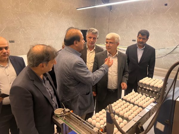 بازدید میدانی معاون استاندار از واحدهای پرورش طیور و نمایشگاه صنایع دستی بندرگز