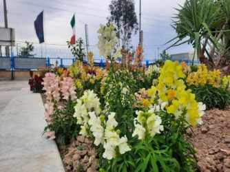 جلوه‌ای از همدلی و مسئولیت‌پذیری؛ آراستگی محیط اداری اداره گاز گمیشان با اقدام خودجوش کارکنان