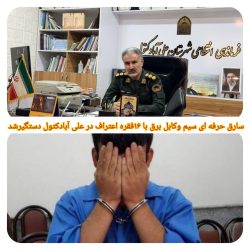 سارق حرف ای سیم و کابل برق با ۱۶فقره اعتراف درعلی آبادکتول دستگیر شد