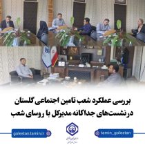 نشست‌های جداگانه مدیرکل تامین اجتماعی گلستان با روسای چند شعبه استان