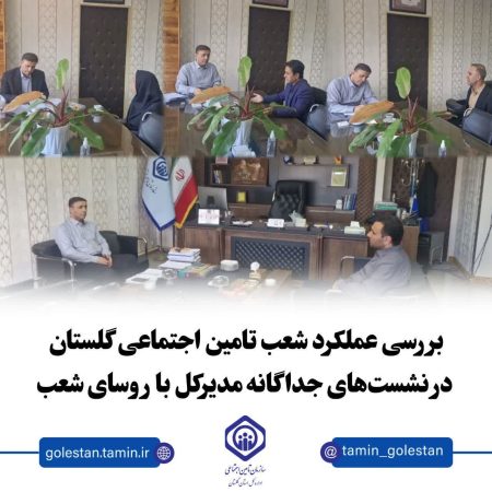 نشست‌های جداگانه مدیرکل تامین اجتماعی گلستان با روسای چند شعبه استان
