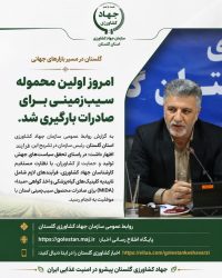تسهیل مسیر صادرات محصولات استراتژیک؛ صدور اولین مجوز صادرات سیب‌زمینی گلستان