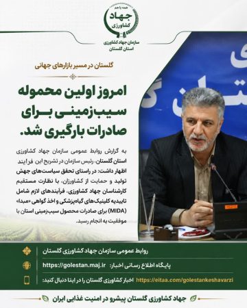 تسهیل مسیر صادرات محصولات استراتژیک؛ صدور اولین مجوز صادرات سیب‌زمینی گلستان