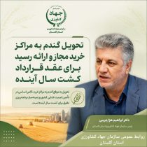تحویل گندم به مراکز خرید مجاز و ارائه رسید برای عقد قرارداد کشت سال آینده