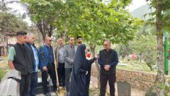 فرماندار گرگان : درختکاری کنار گلزار شهدا، نماد حیات و مقاومت است