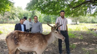 بازدید شهردار و اعضای شورای اسلامی شهر قرق از وضعیت مرال‌های پارک جنگلی قرق
